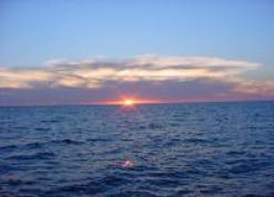 Another day in Paradise